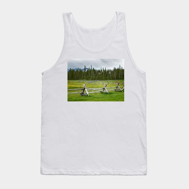 Colorado High Meadow Tank Top by EileenMcVey